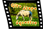 Gîte étape équestre