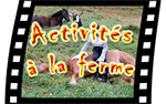Activités à la ferme